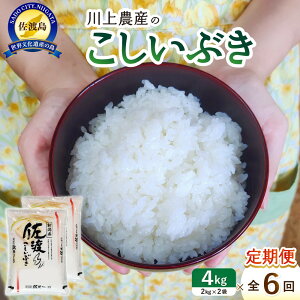 【ふるさと納税】令和7年産 佐渡 川上農産のこしいぶき 定期便(2kg×2×全6回) | お米 こめ 白米 食品 人気 おすすめ