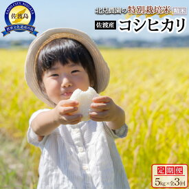 【ふるさと納税】【令和7年産】＜米 定期便 全3回＞北見農園の特別栽培米 佐渡産コシヒカリ（5kg×全3回）農家自慢の逸品 精米