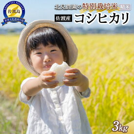 【ふるさと納税】【令和7年産】北見農園の特別栽培米 令和7年 佐渡産コシヒカリ 3kg 農家自慢の逸品 精米 | お米 こめ 白米 食品 人気 おすすめ 送料無料