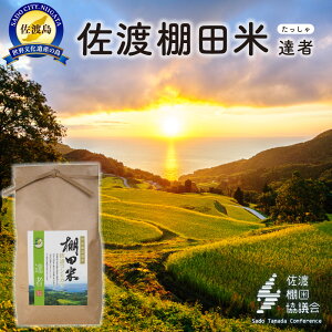 yӂ邳Ɣ[ŁznYRVqJ BҒIc 4Kgi2Kg×2܁jyߘa7NYz