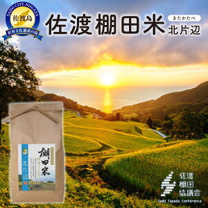 yӂ邳Ɣ[ŁznYRVqJ kЕӒIc 4Kgi2Kg×2܁jyߘa7NYz@ |    Hi lC   EY