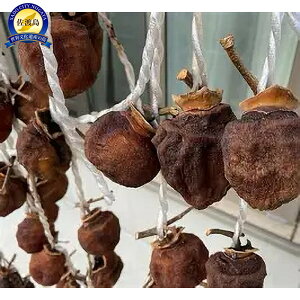 yӂ邳Ɣ[Łzys\zVnY`@20`25 | t[c ʕ  Hi lC  