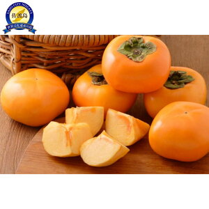 yӂ邳Ɣ[Łzys\zy킵`zVnY`5kg@ | t[c ʕ  Hi lC  