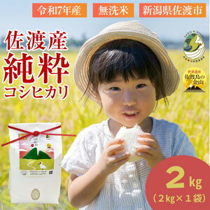 �y�ӂ邳�Ɣ[�Łz�y�V�������n�z�����R�V�q�J�������ʌ��聄 �ߘa7�N�Y ���āy�����āz2kg �������� | ���n�s �����R�V�q�J�� �V�����Y �������� ���� ���� ���� �������� ��������