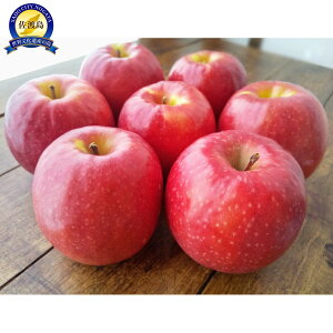 yӂ邳Ɣ[Łzys\zVnY@񂲁@tW@5kg@ | ns ʕ t[c VN {̖o N   tW lC  