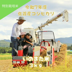 yӂ邳Ɣ[Łzߘa7NYRVqJ@āiāj3kg@_ƒ@nŝ܂ | ns RVqJ   VY     lC  