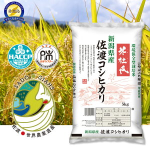 �y�ӂ邳�Ɣ[�Łz�� �R�V�q�J�� ���n�Y ( 5kg ) �ēm���y�ߘa7�N�āz | ���n�s �� �R�V�q�J�� ���n�Y �n���Y ������� �_�� �������� ���� �ӂ����� �����L�� ������ �ʔ� �ӂ邳�Ɣ[��