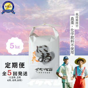 �y�ӂ邳�Ɣ[�Łz�y����ցz�V�������n�Y �ߘa7�N�Y �y�ɂ��܂�z ���� 5kg×�S5�� | ���n�s �V�������n�Y ���� �������� ���� ���Y�i ���� �������� ������ ���N �H�i ������ �ʔ� �ӂ邳