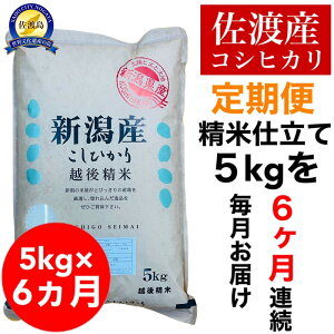 �y�ӂ邳�Ɣ[�Łz�y����֗\��z���n�Y�R�V�q�J�� 5kg(����)�@�S6�� | ���� ���� ���� �H�i �l�C �������� ��������