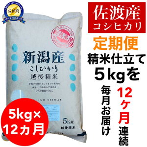 �y�ӂ邳�Ɣ[�Łz�y����֗\��z���n�Y�R�V�q�J�� 5kg(����)�@�S12�� | ���� ���� ���� �H�i �l�C �������� ��������