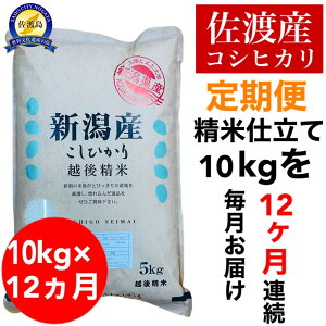 �y�ӂ邳�Ɣ[�Łz�y����֗\��z���n�Y�R�V�q�J�� 10kg(����)�@�S12�� | ���� ���� ���� �H�i �l�C �������� ��������