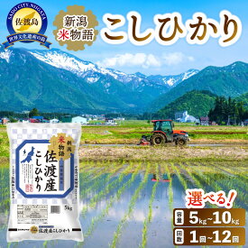 【ふるさと納税】米 コシヒカリ 佐渡産 ( 5kg／10kg／定期便 ) 米物語 | お米 こめ 白米 食品 人気 おすすめ 送料無料 お楽しみ コメ 精米 ご飯 ごはん 新潟 佐渡市