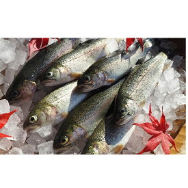 楽天市場 冷凍ニジマスの通販