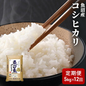 楽天市場 ふるさと納税 米 定期便 5kg 12ヶ月の通販