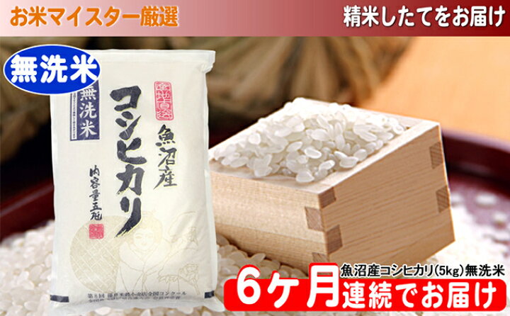 楽天市場 ふるさと納税 無洗米お米マイスター厳選魚沼コシヒカリ 5kg 6ヶ月連続お届け 定期便 お米 コシヒカリ 米 無洗米 定期 新潟県魚沼市 ふるさと納税