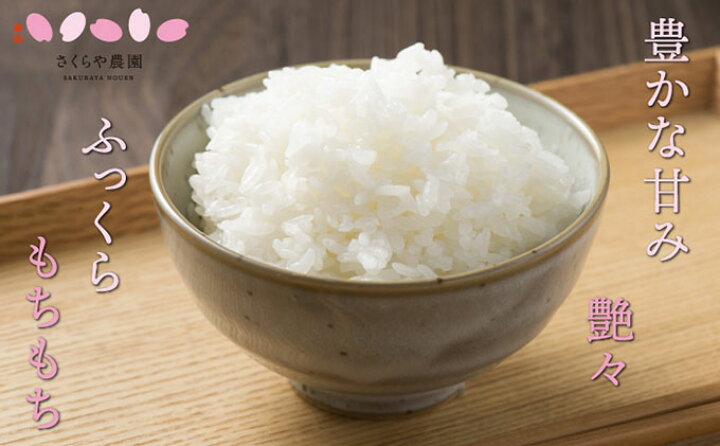 楽天市場 ふるさと納税 定期便 さくらや農園 魚沼産コシヒカリ 無洗米5kg 12か月連続お届け 定期便 お米 コシヒカリ 米 無洗米 新潟県魚沼市 ふるさと納税