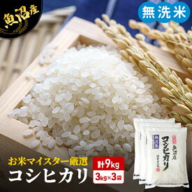 【ふるさと納税】令和5年産 お米マイスター厳選 魚沼産 コシヒカリ 無洗米 9kg (3kg×3) ( 米 お米 こめ コメ おこめ 白米 こしひかり )　【 新潟県 魚沼市 】　お届け：発送の目安：入金確認から2週間程度