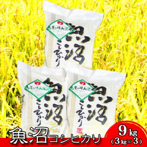 yӂ邳Ɣ[Łzߘa7NY RVqJ R[()9kg(3kg×3)  @͂F񕍓mFA2Tԁ`1قǂł͂ƂȂ܂