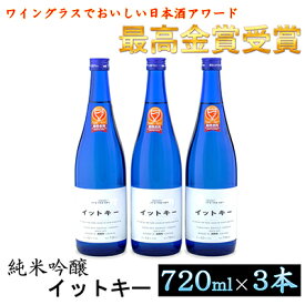 【ふるさと納税】最高金賞受賞酒 純米吟醸 イットキー 3本 セット ( 日本酒 酒 お酒 地酒 )　【 新潟県 魚沼市 】