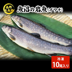 【ふるさと納税】魚沼の岩魚（イワナ）冷凍10尾入り 魚貝類 川魚 　お届け：寄附入金確認後、約2週間～1ヶ月ほどでお届け