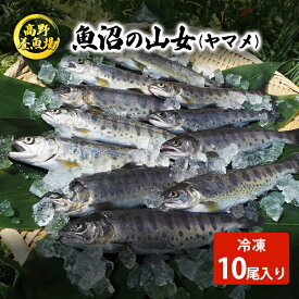 【ふるさと納税】魚沼の山女（ヤマメ）冷凍10尾入り 魚貝類 川魚 　お届け：寄附入金確認後、約2週間～1ヶ月ほどでお届け