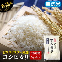 【新潟県魚沼市】米 無洗米 定期便 5kg コシヒカリ お米 白米