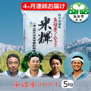 yӂ邳Ɣ[ŁzVF؁yʍ͔|āzYЂ 5kg 4A͂  RVqJ @͂F񕍓̗蔭