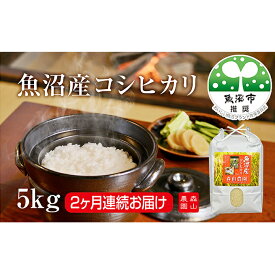 【ふるさと納税】森山農園魚沼産コシヒカリ5kg 2ヶ月連続お届け お米 　お届け：寄附入金確認月の翌月より発送