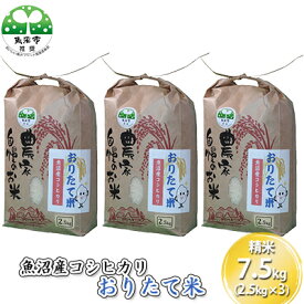 【ふるさと納税】令和7年産 魚沼産コシヒカリ おりたて米 （精米）7.5kg（2.5kg×3） お米 　お届け：寄附入金確認後、約2週間～1ヶ月ほどでお届けとなります