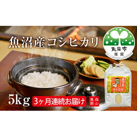 【ふるさと納税】森山農園 魚沼産コシヒカリ 5kg 3ヶ月連続お届け お米 　お届け：寄附入金確認月の翌月より発送