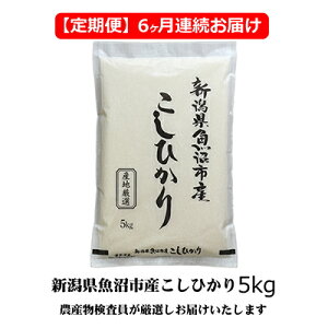 yӂ邳Ɣ[Łz_Y YЂ iāj 5kg 6 A͂ i   RVqJ Y     R Ђ  N 6 y j @