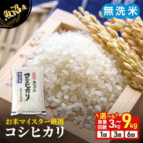 楽天市場】米 9kgの通販