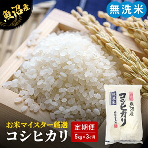 yӂ邳Ɣ[Łz ă}CX^[I  RVqJ 5kg × 3 A͂ (     R   Ђ 3 15kg y ) V @͂F񕍓