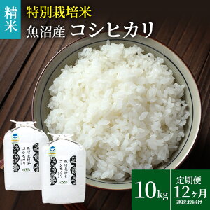 yӂ邳Ɣ[ŁzĔ_Ǝ̓ʍ͔|ċYRVqJ()10kg(5kg×2) 12 A͂  12 1N @͂F񕍓̗甭