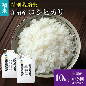 yӂ邳Ɣ[ŁzĔ_Ǝ̓ʍ͔|ċYRVqJ()10kg(5kg×2) u S6񂨓͂  @͂F񕍓̗甭