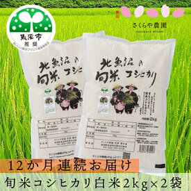 【ふるさと納税】【定期便】北魚沼の旬米コシヒカリ（精米）4kg（2kg×2袋）12か月連続お届け　【定期便・お米・コシヒカリ】