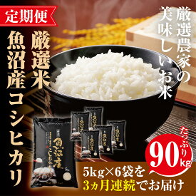 【ふるさと納税】定期便【魚沼「厳選」コシヒカリ】旨い飯におかずはいらない30kg 全3回　【定期便・お米・コシヒカリ】