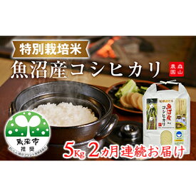 【ふるさと納税】2ヶ月連続お届け 森山農園特別栽培米魚沼産コシヒカリ（新潟県認証）5kg お米 　お届け：寄附入金確認月の翌月より発送