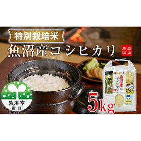 【ふるさと納税】令和7年産 森山農園 特別栽培米魚沼産コシヒカリ（新潟県認証） 5kg お米 　お届け：寄附入金確認後、随時発送