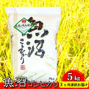yӂ邳Ɣ[ŁzRVqJ R[āiāj5kg 3A͂  VY @͂F񕍓̗蔭
