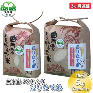【ふるさと納税】【定期便】魚沼産コシヒカリ おりたて米 精米5kg(2kgと3kg) 3ヶ月連続 お米 3カ月 3回  お届け:寄附入金月の翌月より発送