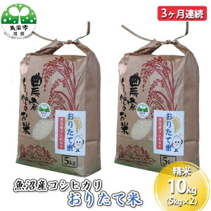【ふるさと納税】【定期便】魚沼産コシヒカリ おりたて米 精米10kg(5kg×2)3ヶ月連続 お米 3カ月 3回  お届け:寄附入金月の翌月より発送