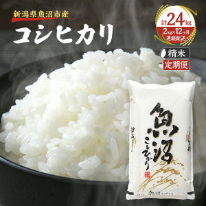 yӂ邳Ɣ[ŁzyցFፑi  2kg × 12 z z㋛ Y RVqJ i       R Ђ  1N 12 y j @͂F񕍓