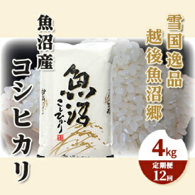 【ふるさと納税】【定期便：雪国逸品 精米4kg×12ヶ月】越後魚沼郷 魚沼産コシヒカリ　【定期便・ お米 人 自然調和 ミネラル 奇跡 自然環境 努カ 香り つや 粘り 極上 】