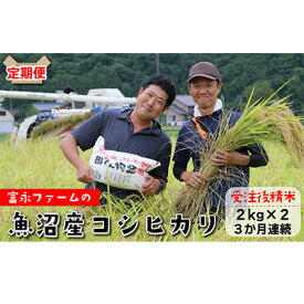 【ふるさと納税】富永ファーム【お米定期便/全3回】魚沼産コシヒカリ（精米）4kg（2kg×2） 白米 ご飯 ブランド米 銘柄米 精米したて 新潟県産 直送 主食 炭水化物 複数回 お届け 　お届け：寄附入金月の翌月より発送