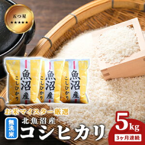 yӂ邳Ɣ[Łz܂ă}CX^[I ĖkYRVqJ 5kg 3A   aH uh  ɂ ٓ Yn Ă @͂F񕍓̗