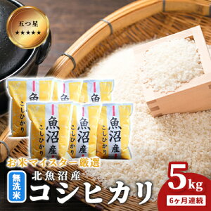 yӂ邳Ɣ[Łz܂ă}CX^[I ĖkYRVqJ 5kg 6A   aH uh  ɂ ٓ Yn Ă @͂F񕍓̗