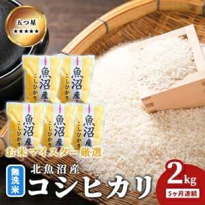 yӂ邳Ɣ[Łz܂ă}CX^[I ĖkYRVqJ 2kg 5A   aH uh  ɂ ٓ Yn Ă @͂F񕍓̗