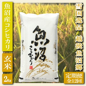 yӂ邳Ɣ[ŁzyցFፑi 2Kg×12zz㋛ YRVqJ  uh   ɂ ٓ aH Yn   S @͂F񕍓̗