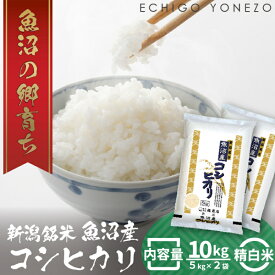 【ふるさと納税】令和7年産 魚沼産コシヒカリ（精米）10kg お米 白米 ご飯 ブランド米 銘柄米 おにぎり お弁当 和食 産地直送 粘り モチっと食感 上品な甘み 　お届け：10月下旬より発送となります
